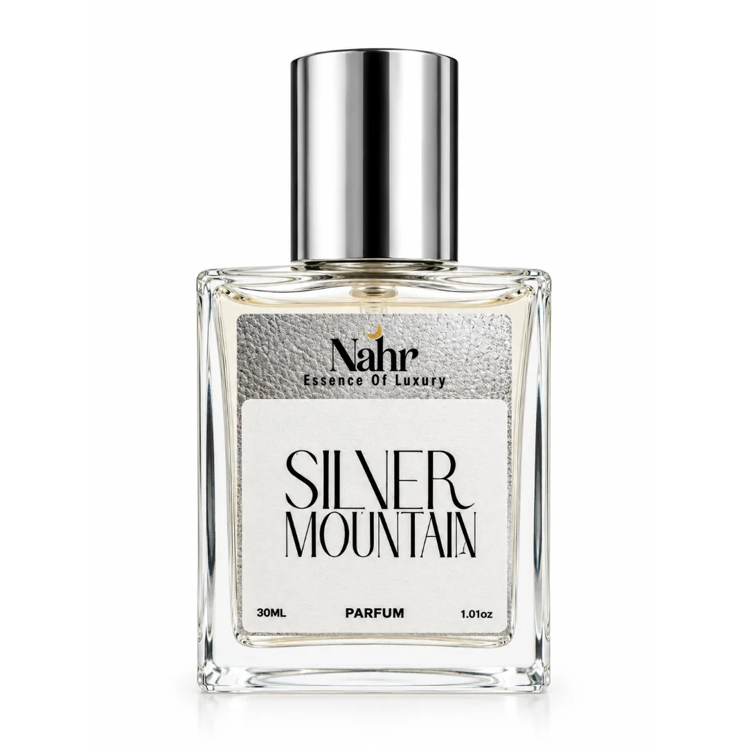Silver Mountain